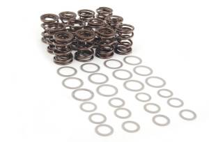 Autotech - AUTOTECH HD VALVE SPRING SET 12V VR6 MK3 MK4 Corrado