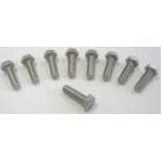 STAINLESS BOLT SET, 4-cyl water pumps - Image 2
