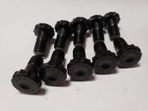 ARP Ring Gear Bolt Kit For BMW 188k & 215k axle (10pc)