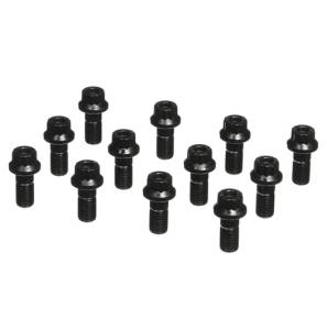 ARP Ring Gear Bolt Kit For BMW E-DIFF (12pc)